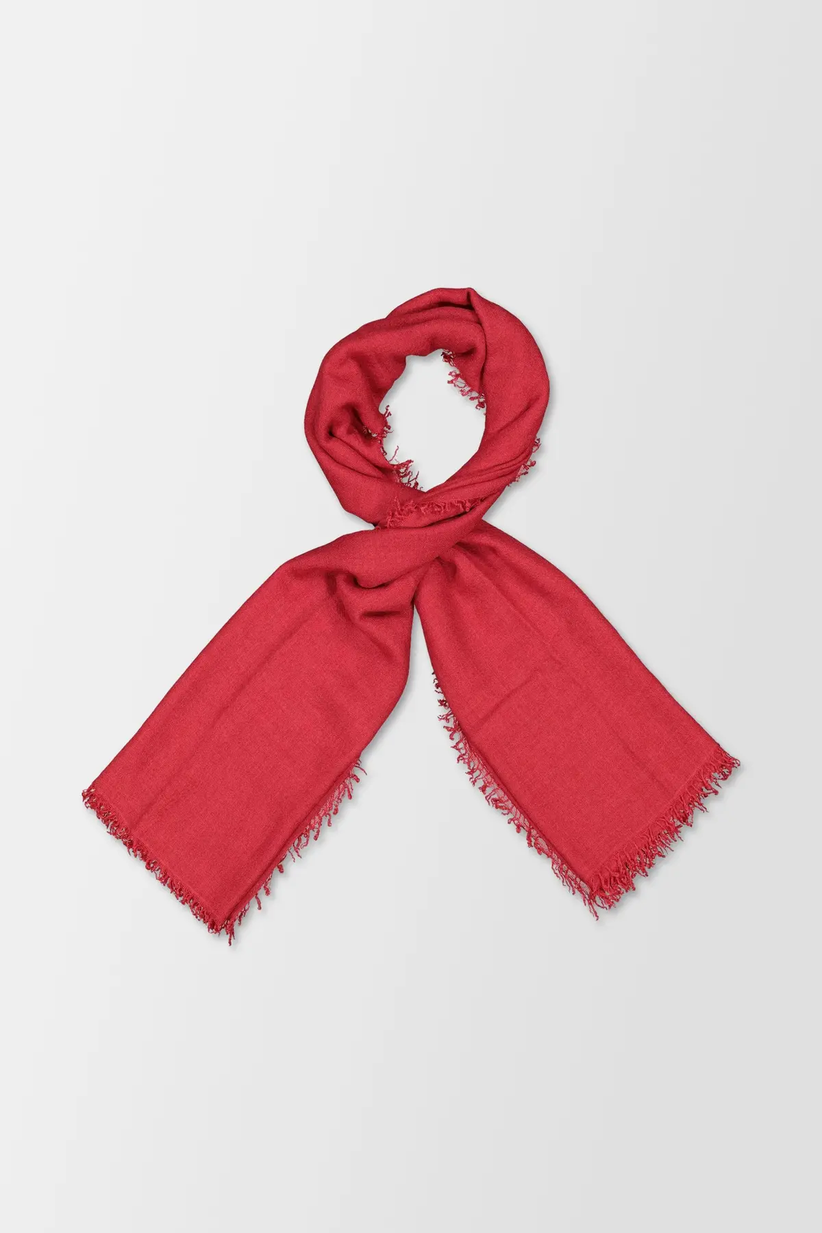 Faliero Sarti Raspberry New Enrica 1