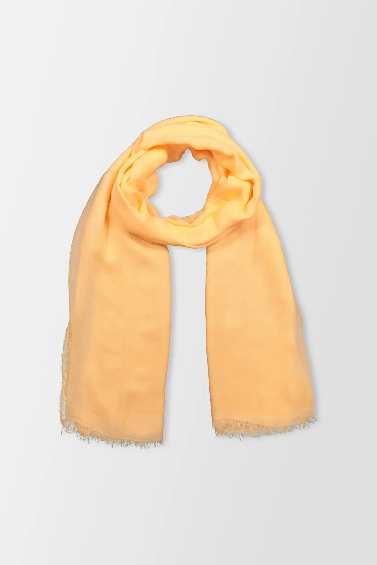 Faliero Sarti Orange Tobiflu 1