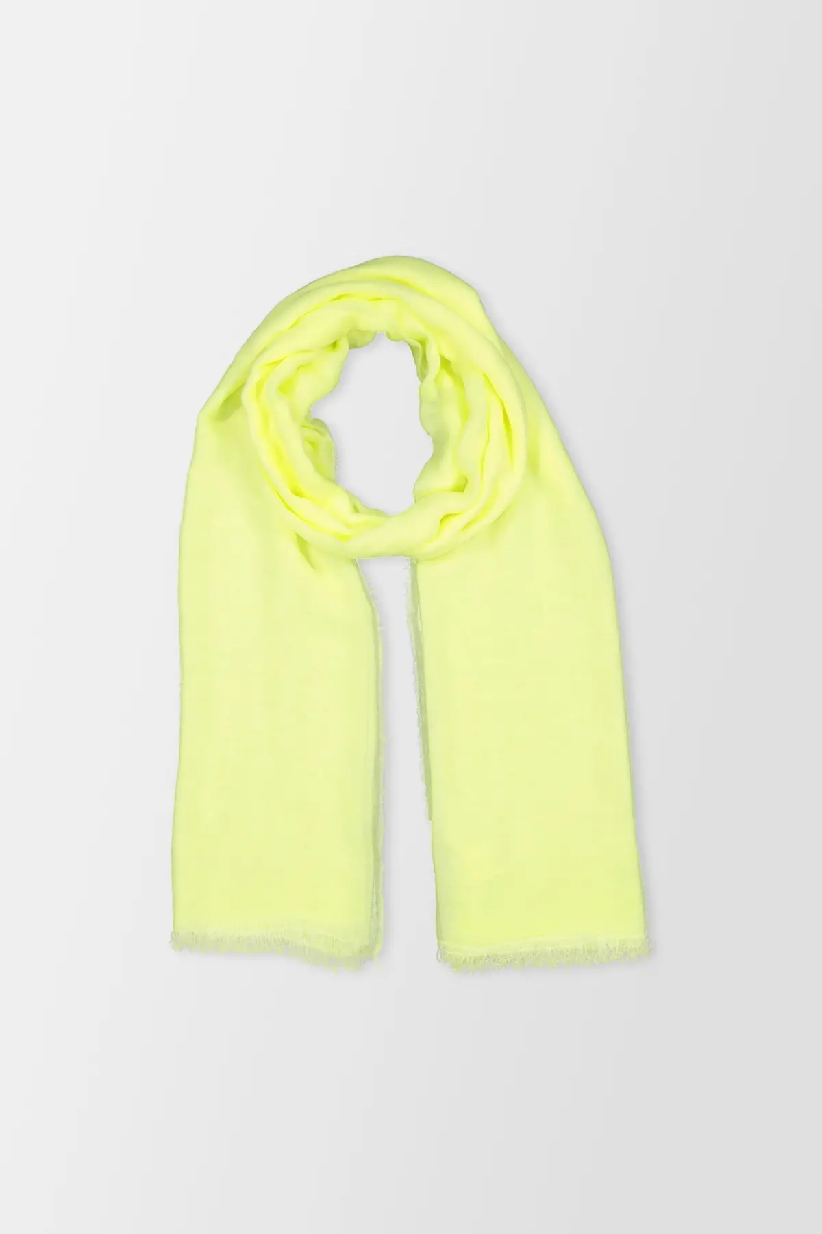 Faliero Sarti Yellow Tobiflu 1