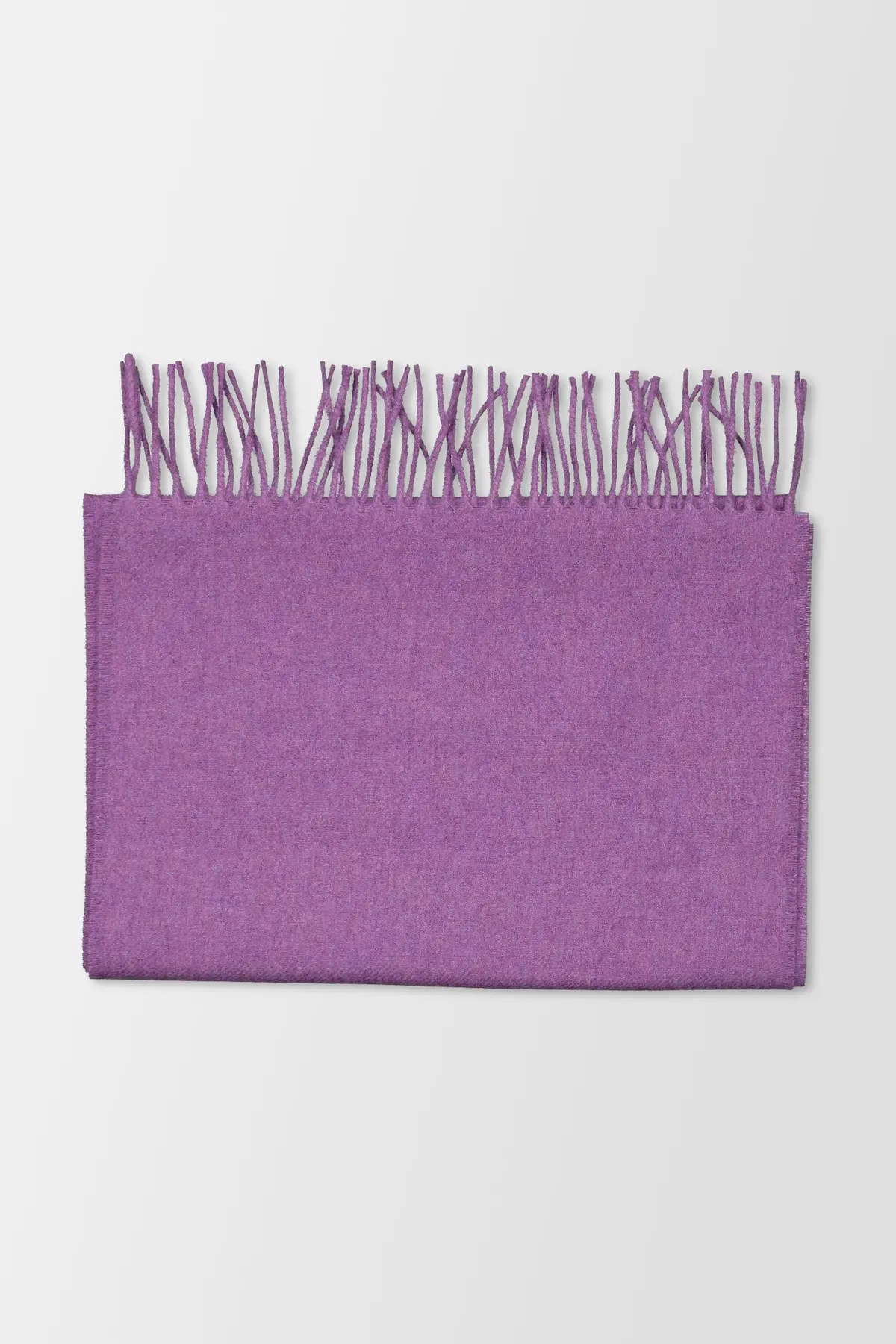Joshua Ellis Purple Scarf 1