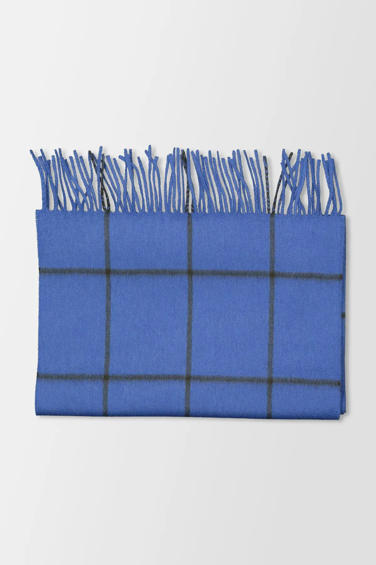 Joshua Ellis Blue Scarf 1