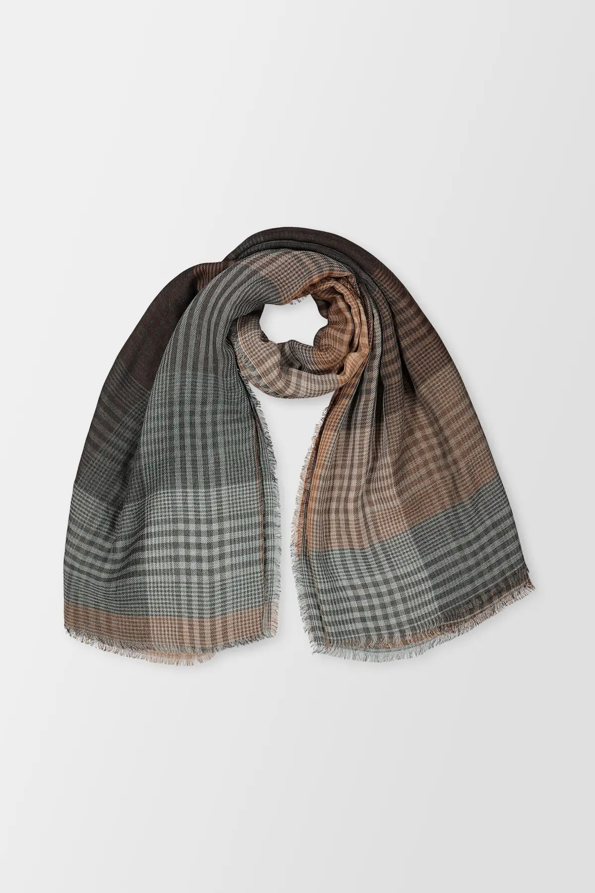 Faliero Sarti Brown Gianluca 1