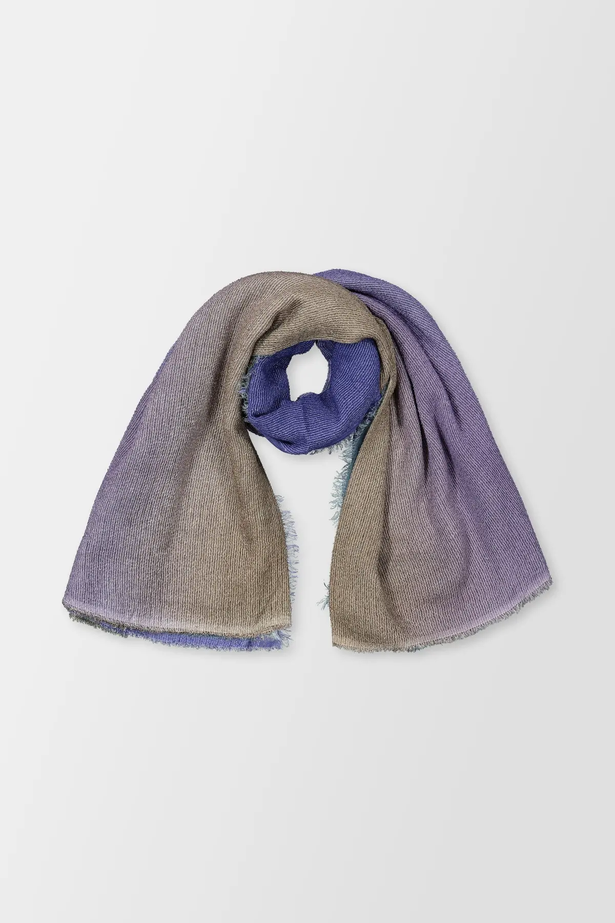 Faliero Sarti Blue Lory 1