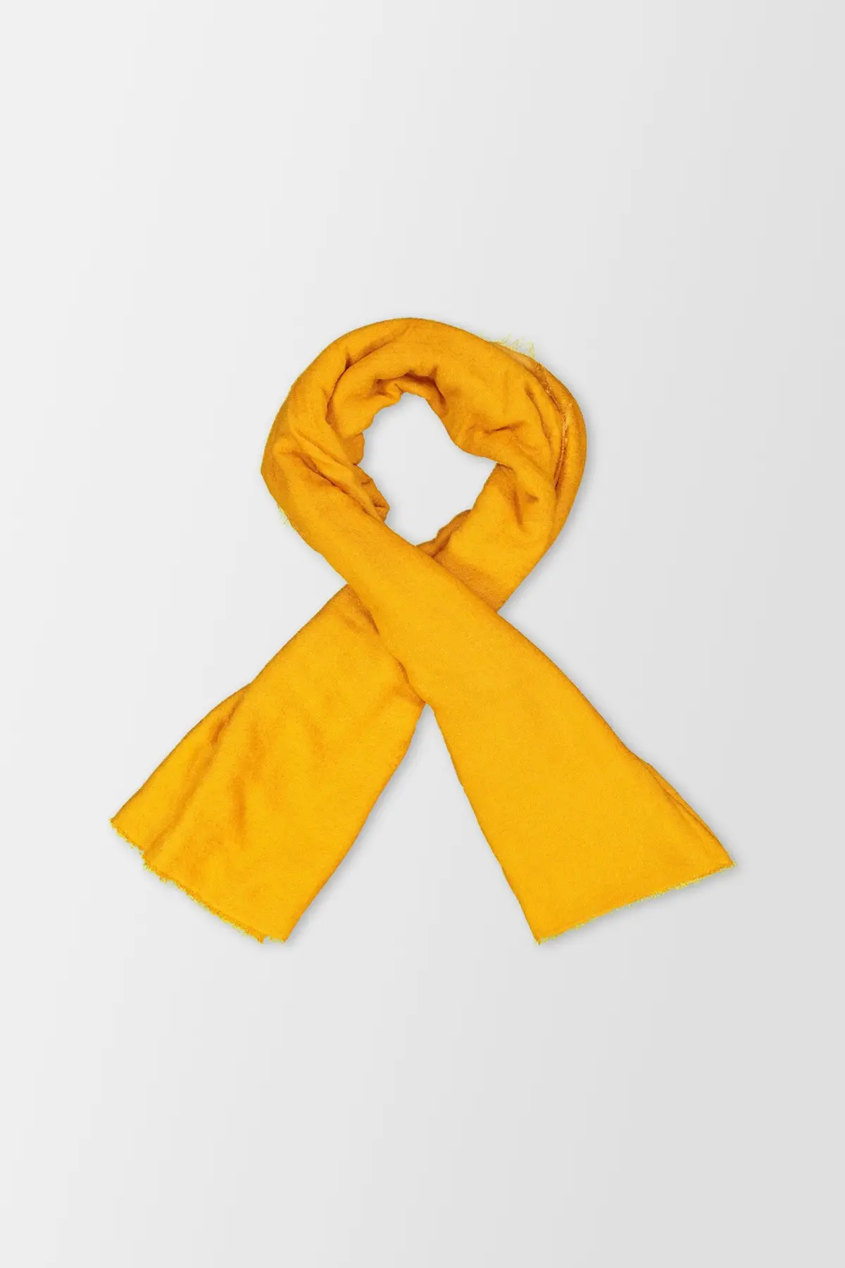 Faliero Sarti Yellow Rugy 1