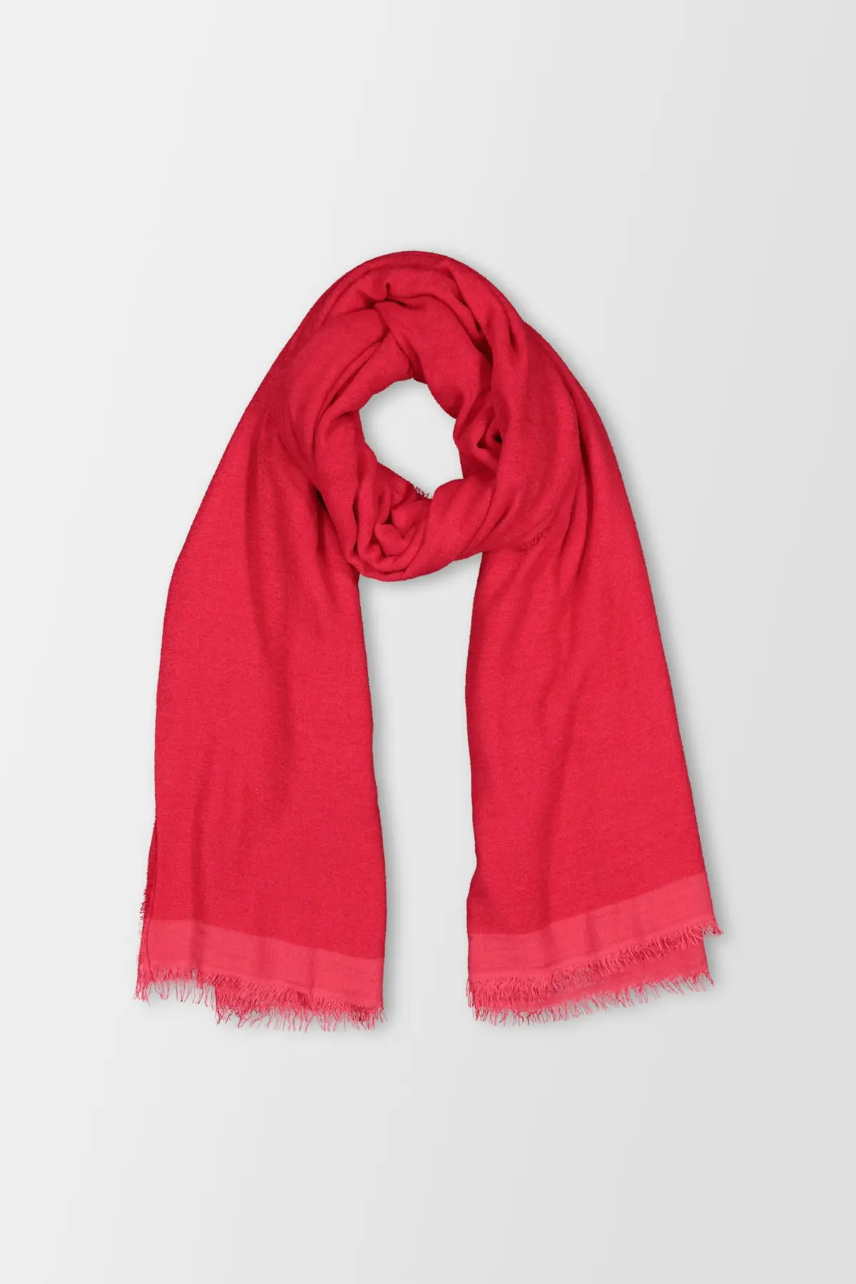 Faliero Sarti Red Rugy 1