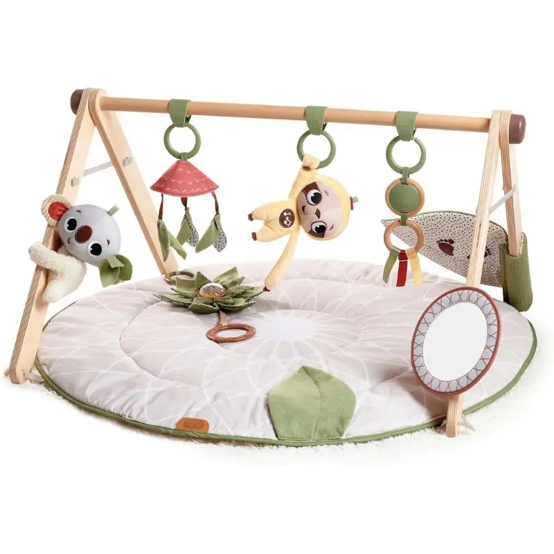Boho Chic Luxe Developmental Gymini 1